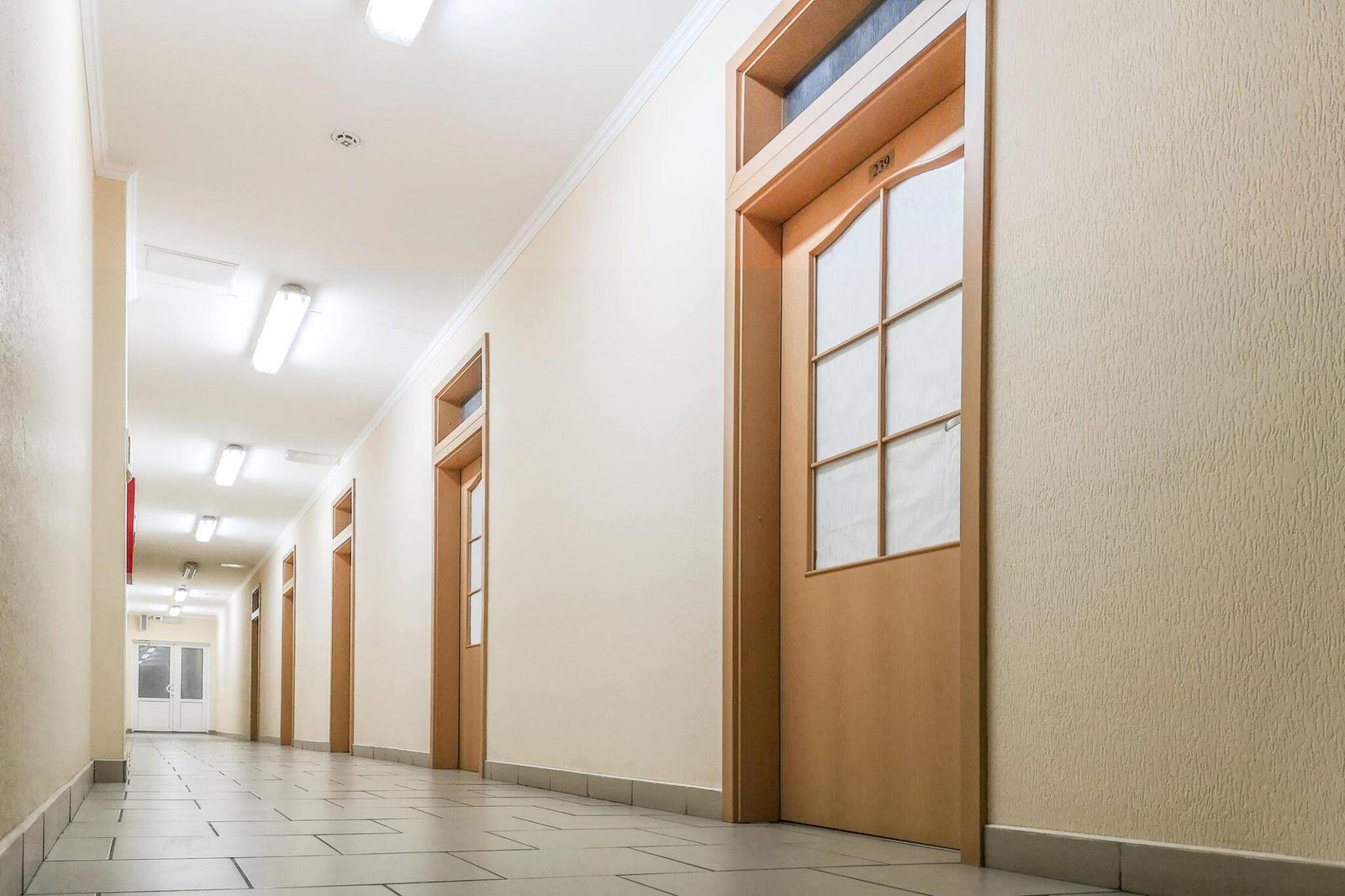 commercial wood door